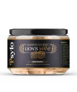 Lions Mane Mushroom Dried Pieces