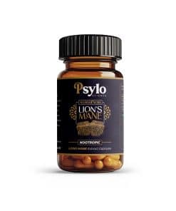 Lions Mane Mushroom Activated Extract 60 Capsules